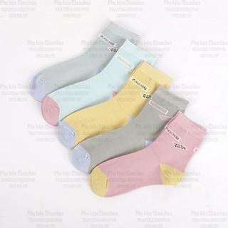 Combo 5 vớ dài size nữ 70k