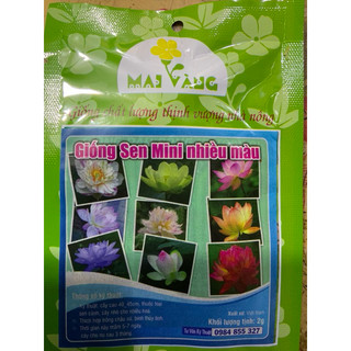 HẠT GIỐNG HOA SEN NHẬT MINI MIX