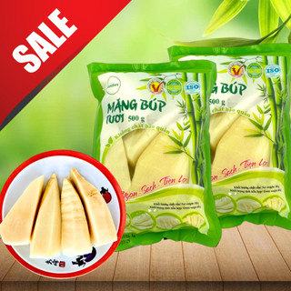 [MUA 2 GIẢM 20%] COMBO 2 Măng Búp Tươi Gói 500g - OCCOP 4 SAO - Đặc sản Tây Bắc Việt Nam