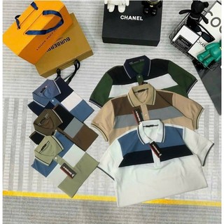 Áo polo nam thun cá sấu thái xịn
