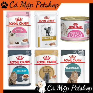 Pate cho mèo Royal Canin Kitten, Pate Royal canin các loại Thức ăn ướt cho mèo