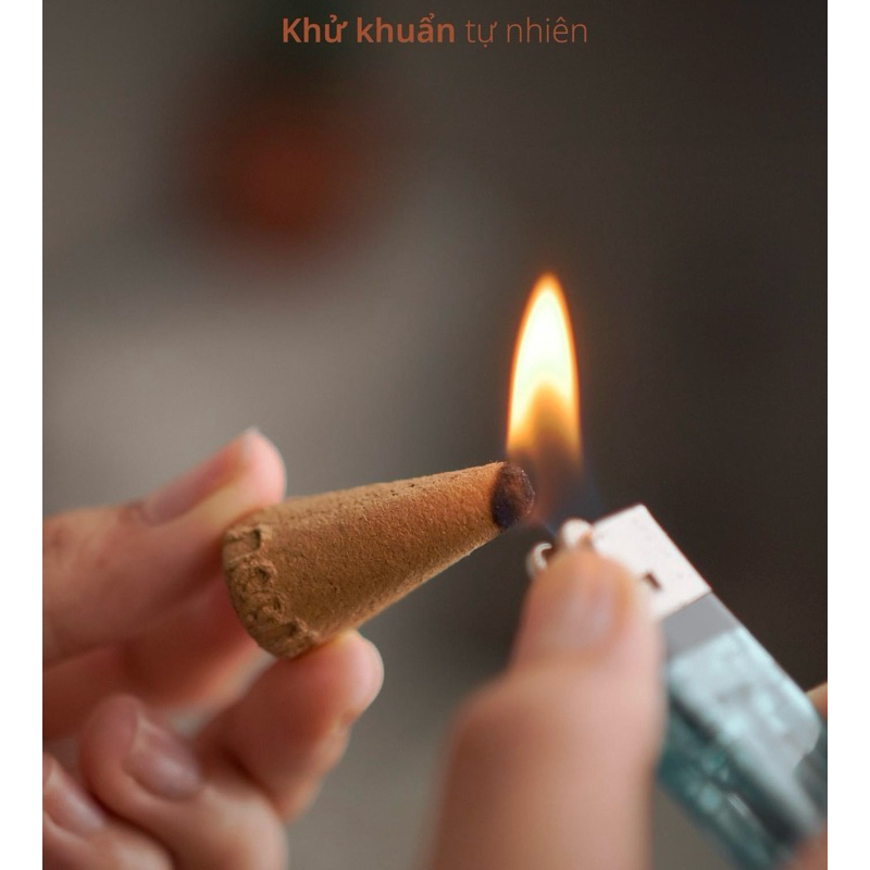 01 Nụ quế thông Noom