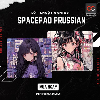 Lót Chuột SpacePad Prussian chính hãng (CONTROL)