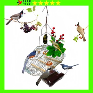 Lồng Bẫy Chim Chào Mào, Chòe Lửa, Chòe Than, Khướu, Hoành Hoạch INOX Tặng Kèm Phụ Kiện