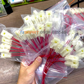 TV31 - (DÂY LỚN) 10 hộp Cầu Chì + 10 Cầu Chì cho anh em thợ