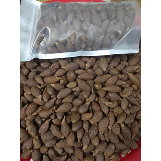 🍀 Hạt đười ươi bay 250gr Víp
