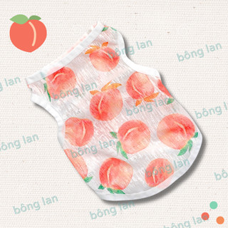 [HOẢ TỐC] Áo thun lưới ba lỗ mỏng thoáng khí cho chó mèo thú cưng in hình hoạt hình xinh xắn