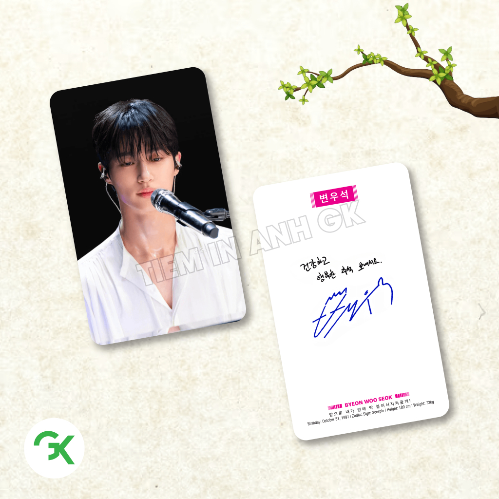 Photocard BYEON WOO SEOK (P4) - Size 9x5.5