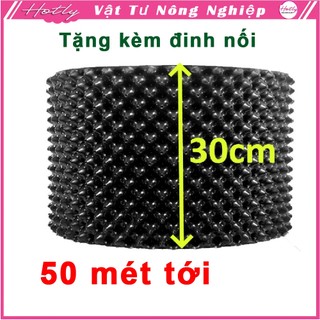 50 mét bầu ươm cây v6 cao 30cm dày 6mm, cắt theo mét dài khách đặt, tặng ốc vít-77900