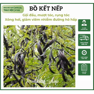 Quả bồ kết nếp chuẩn tây bắc khô
