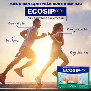 Miếng dán lạnh thảo dược Ecosip Cool - Tatra