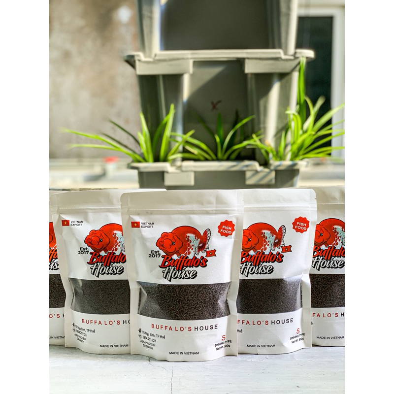 Cám Buffalo’s House - Cám cá vàng