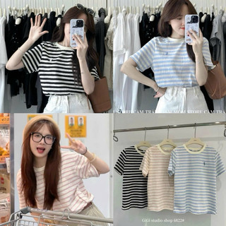 ÁO THUN, ÁO PHÔNG NỮ SỌC KẺ CỔ TRÒN POLO LOGO THÊU NGỰA COTTON 100% dễ mặc dễ phối đồ đi chơi đi làm đều được