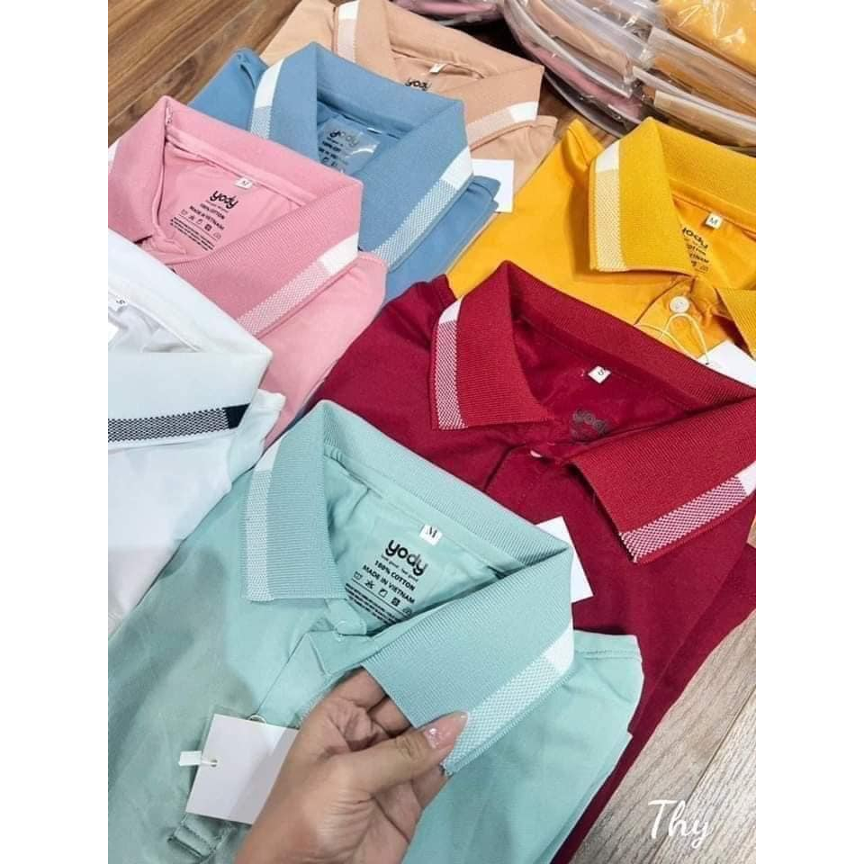 Bộ sưu tập Áo polo nam, nữ Yody nhiều màu.