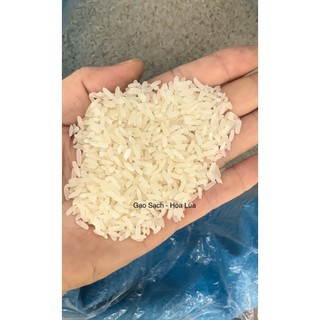 GẠO BẮC HƯƠNG - GẠO QUÊ (5kg)