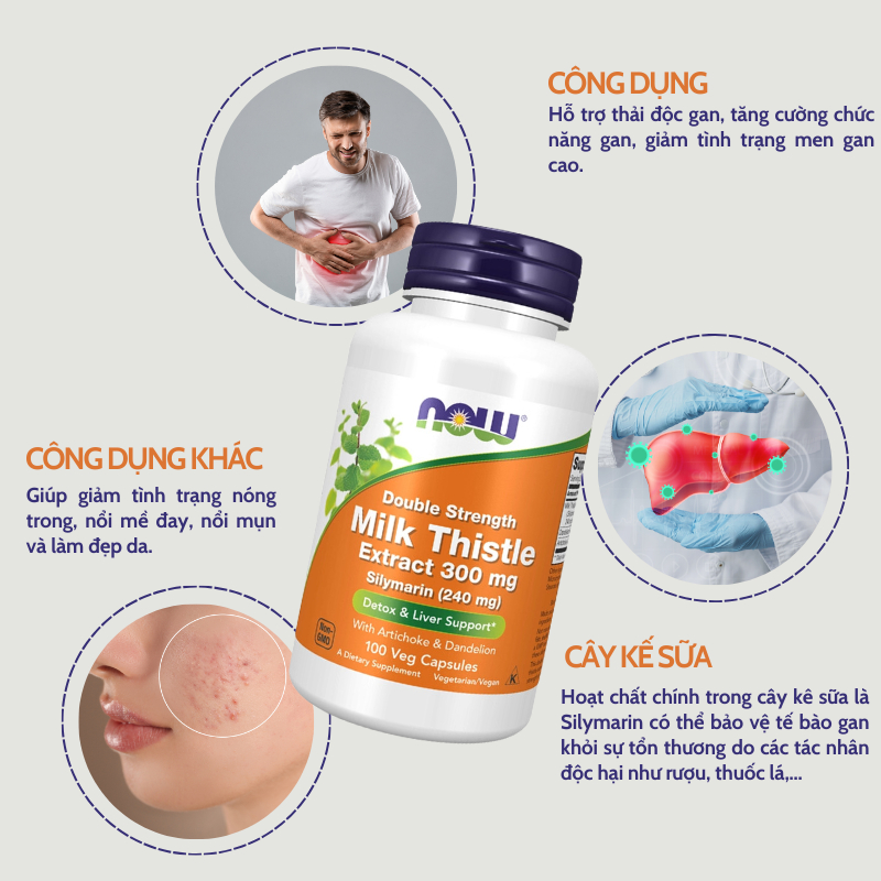 Thải độc gan Now Double Streng Milk Thistle Extract 300mg giúp bổ gan, làm mát gan, tăng cường chức năng gan 100 viên