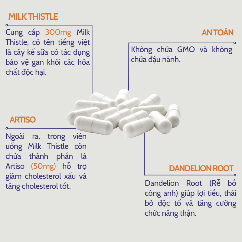 Thải độc gan Now Double Streng Milk Thistle Extract 300mg giúp bổ gan, làm mát gan, tăng cường chức năng gan 100 viên