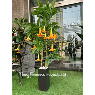 Cây kèn Tây giả - cây giả decor, cây giả trang trí