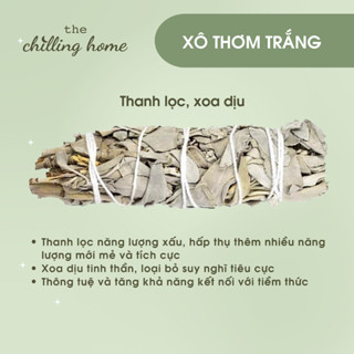 Xô Thơm Trắng (White Sage) Thanh Tẩy Không Gian - Thu Hút Năng Lượng - Xông Nhà - The Chilling Home