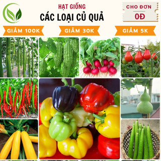 Hạt giống Củ Quả - Dưa chuột, Đậu đỗ, Ớt, Cà, Bầu, Bí Mướp, Củ cải Su hào chịu nhiệt tốt, trồng quanh năm