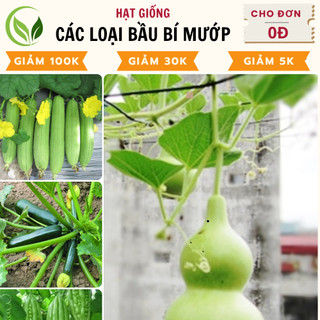 Hạt giống mướp hương, mướp đắng, bầu, bí ngồi - nảy mầm cao, dễ trồng, chất lượng tốt