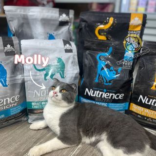(5kg) Hạt Nutrience Cho Mèo Subzero Fraser Valley bao lớn