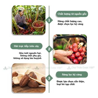 Thảo quả khô 100g, quả to, sạch, gia vị nấu phở, nấu sốt vang, ngâm mai quế lộ, gà ủ muối, lạp xưởng