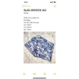 [HCM] (65-80kg) Quần BIGSIZE đùi thun cotton 4 chiều. drap gối codipa.