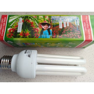 Bóng đèn compact Niaval sáng vàng kích thích ra hoa quả trái vụ đèn huỳnh quang