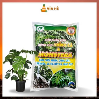 Siêu Phân Bón Dùng Cho Kiểng Lá VIAHE, Túi 700g, Cây Trầu Bà Monstera, Cây Nhiệt Đới Trong Nhà, Đâm Chồi Cứng Thân