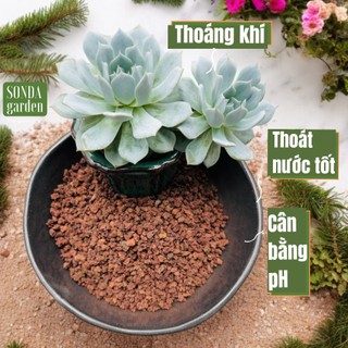 Đá nham thạch đỏ SONDA GARDEN (1kg) cho sen đá, xương rồng