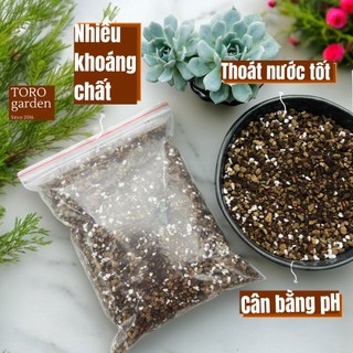 Đất trồng sen đá xương rồng túi 1KG trong truyền thuyết đất trồng sen đá trộn sẵn