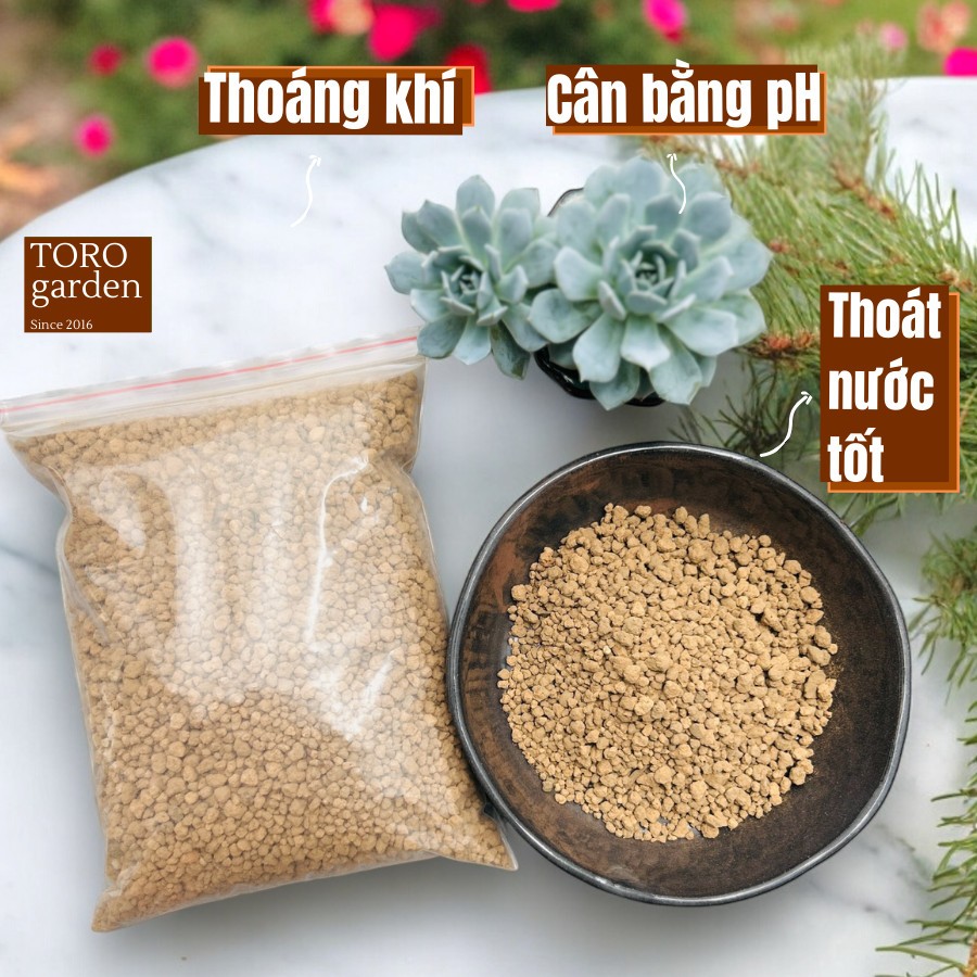 ĐẤT AKADAMA CHO SEN ĐÁ, XƯƠNG RỒNG 🍏HƯ 1 ĐỔI 1