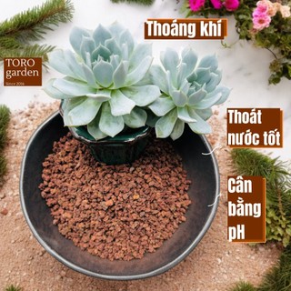 ĐÁ NHAM THẠCH ĐỎ 🌑 SIÊU PHẨM CHO SEN ĐÁ,VÀ XƯƠNG RỒNG 🌵(1kg)