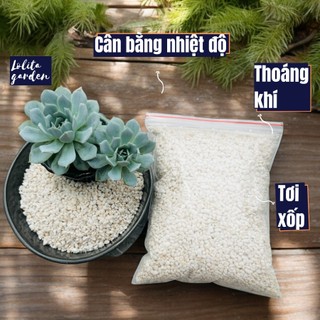 Đá Perlite - Ngọc trai (300g) siêu phẩm cho sen đá và xương rồng