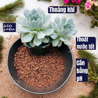 ĐÁ nham thạch đỏ siêu phẩm cho sen đá và xương rồng