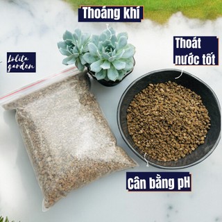 Đá PUMICE siêu phẩm cho sen đá và xương rồng