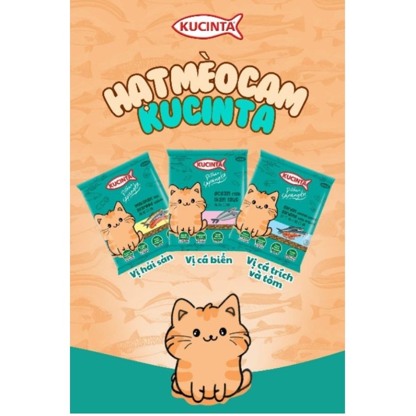 HẠT KUCINTA CHO MÈO MỌI LỨA TUÔI 1KG