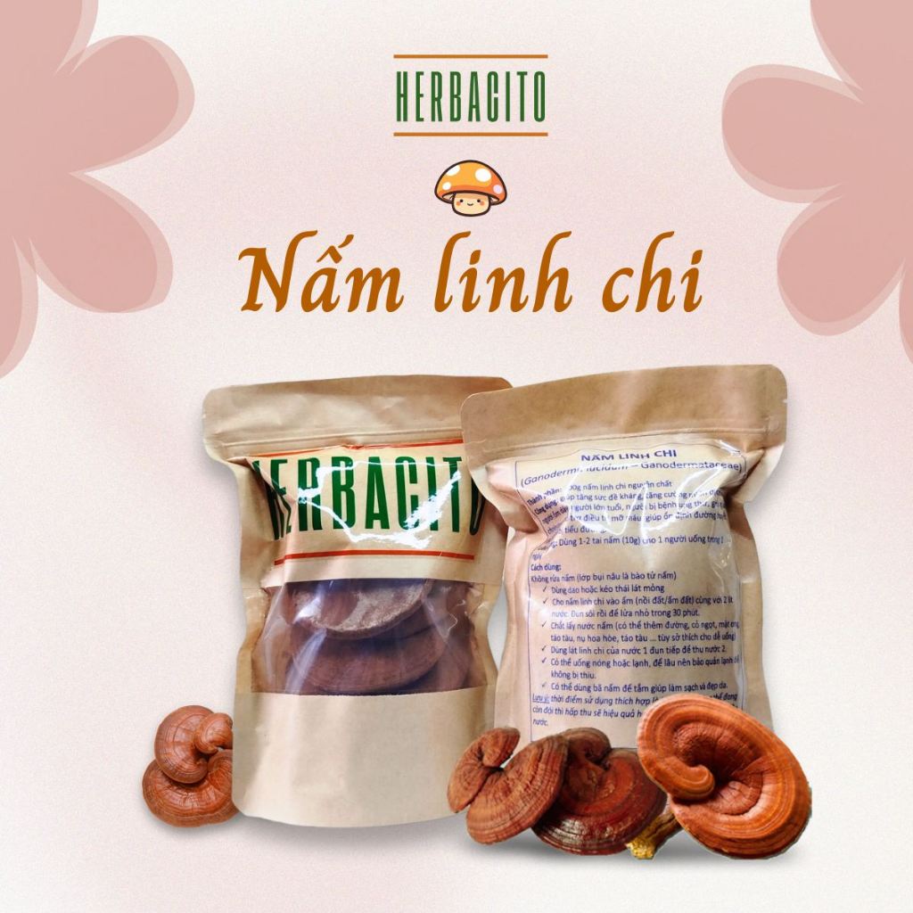Herbacito - Nấm linh chi bào tử