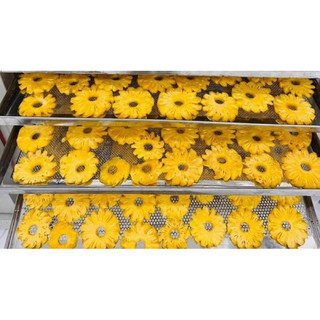 Dứa sấy dẻo - Hằng Karose ( date mới 2024)