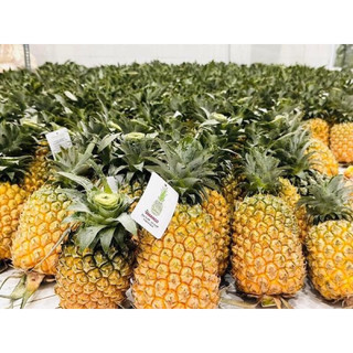 Dứa sấy dẻo - Hằng Karose ( date mới 2024)