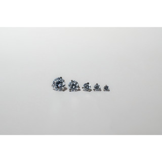 Khuyên tai Titanium internal Prong Set