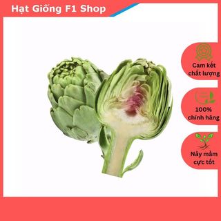 Hạt Giống Atiso Đà Lạt Bông Xanh Bổ Dưỡng
