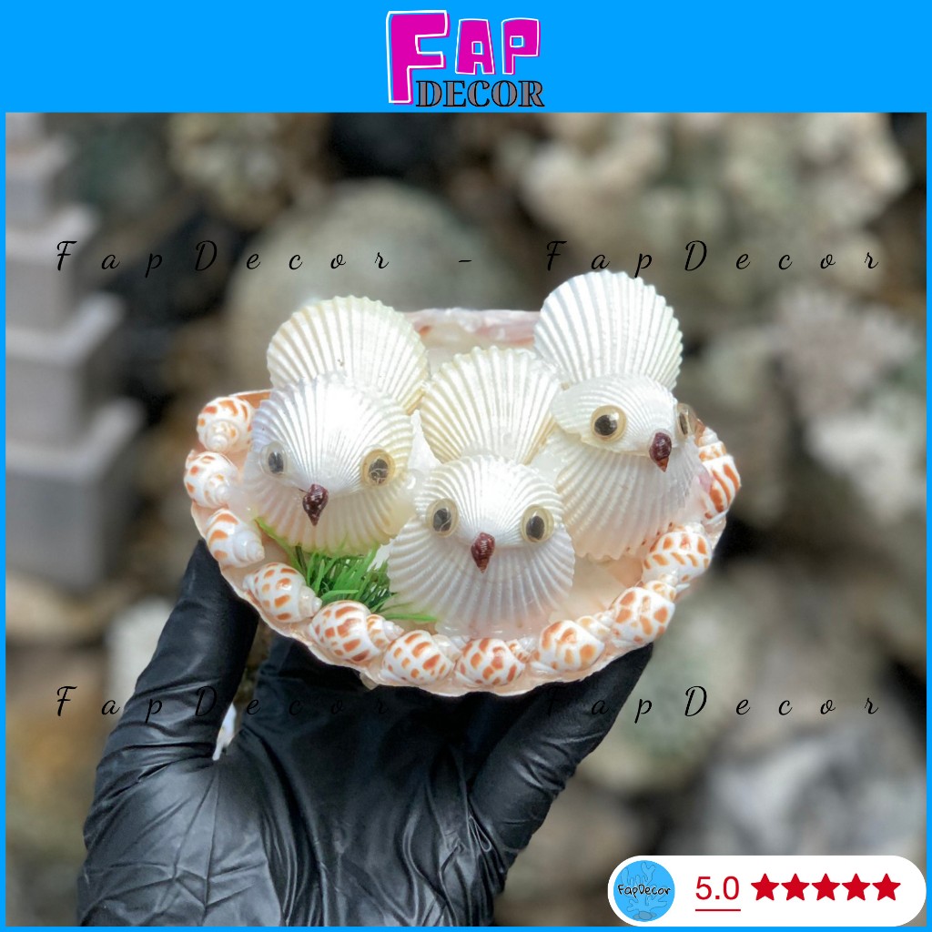 (MỸ NGHỆ BIỂN) SET 3 CON CHIM MỸ NGHỆ TRONG TỔ VÒM ỐC HƯƠNG DECOR TRANG TRÍ LÀM TỪ VỎ SÒ ỐC BIỂN - F