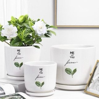 Combo 4 chậu sọc kèm đĩa size 10X11 cm cho sen đá, cây cảnh