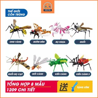 Bộ sưu tập thế giới côn trùng 2 - đồ chơi lắp ghép con vật, mô hình giáo dục phát triển tư duy