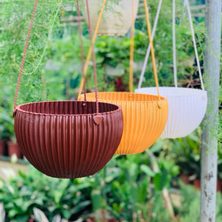 [Mẫu mới] Chậu gân sọc treo Tặng kèm dây treo siêu xinh