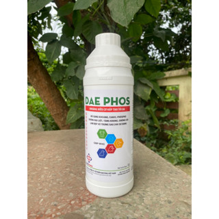  Tặng lọ chiết  Bổ Xương Cho Gà DAE PHOS 1L Bổ Sung Khoáng Canxi Hữu Cơ Chống Bại Liệt Nở Khung Chắc Xương Gà Vịt Ngan 
