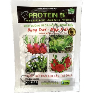 Phân Bón Chuyên Thanh Long - Protein.B+ Dinh Dưỡng Từ Cá Hồi Và Rong Biển - Không Lem - Gói 40ml