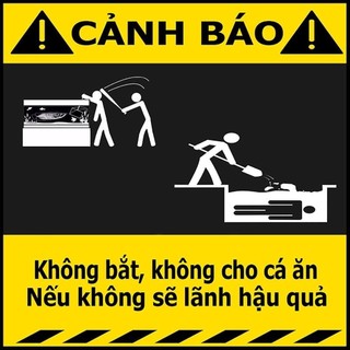 Decal Cảnh báo vui nhộn dán hồ cá
